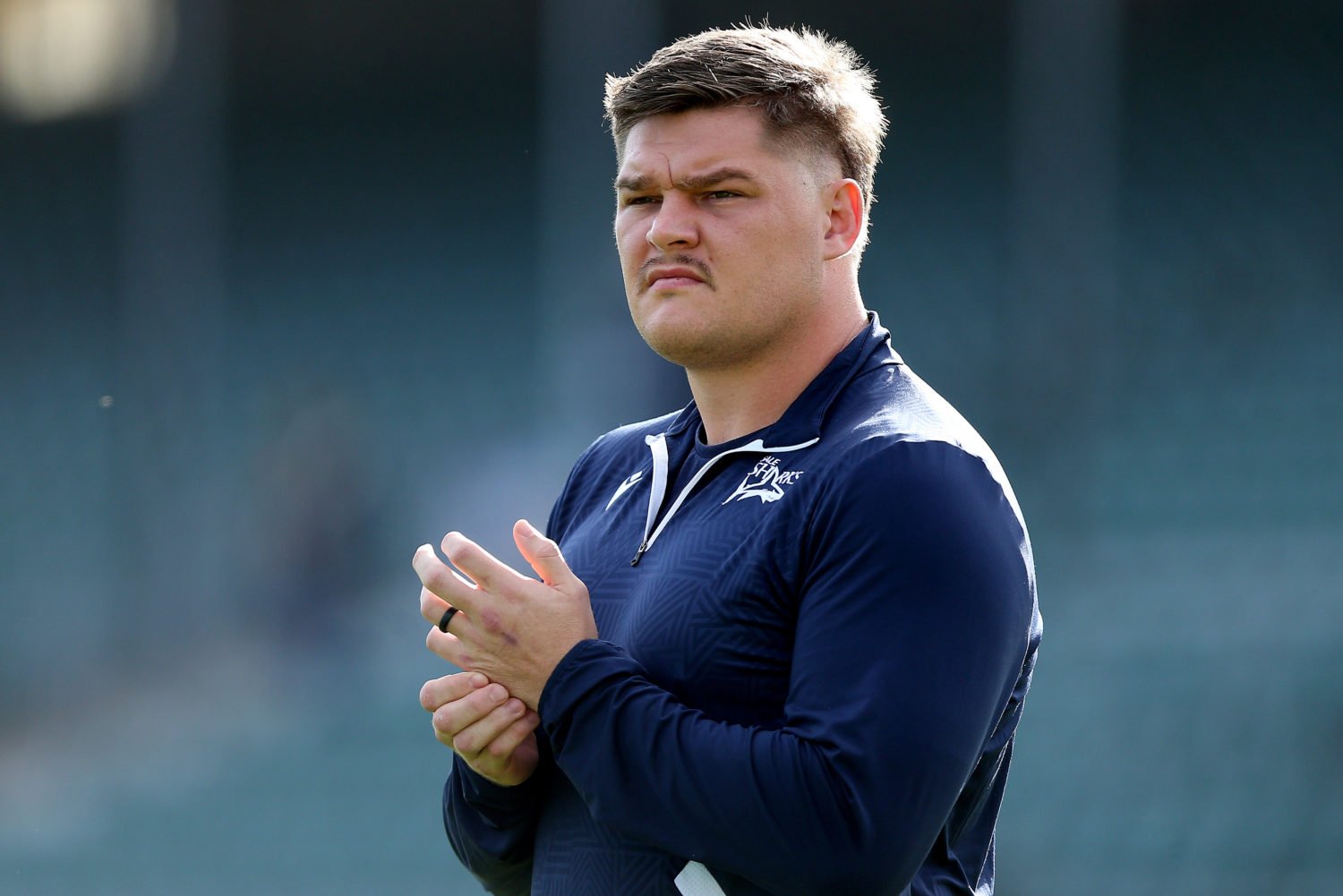 Journeyman Roets in the wilderness again