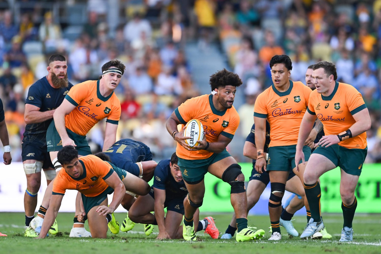 Wallabies rocked by major Bledisloe setback