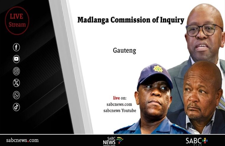 LIVE | Madlanga Inquiry: Lt. Gen. Dumisani Khumalo testifies