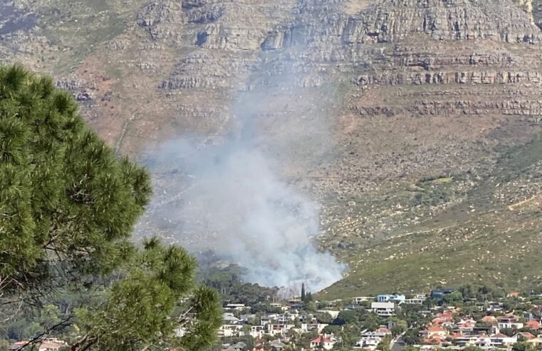 Ground crew deployed for wildfire at Deer Park – SABC News