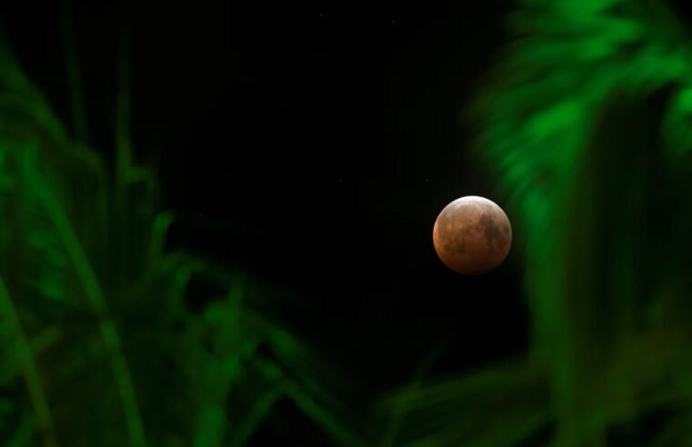 Table Mountain Park warns of congestion during lunar eclipse – SABC News