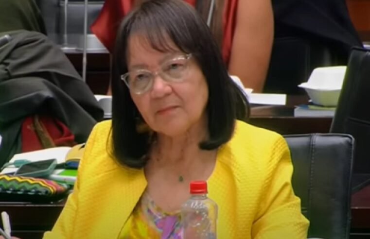 Political parties urge de Lille to reinstate SA Tourism Board – SABC News