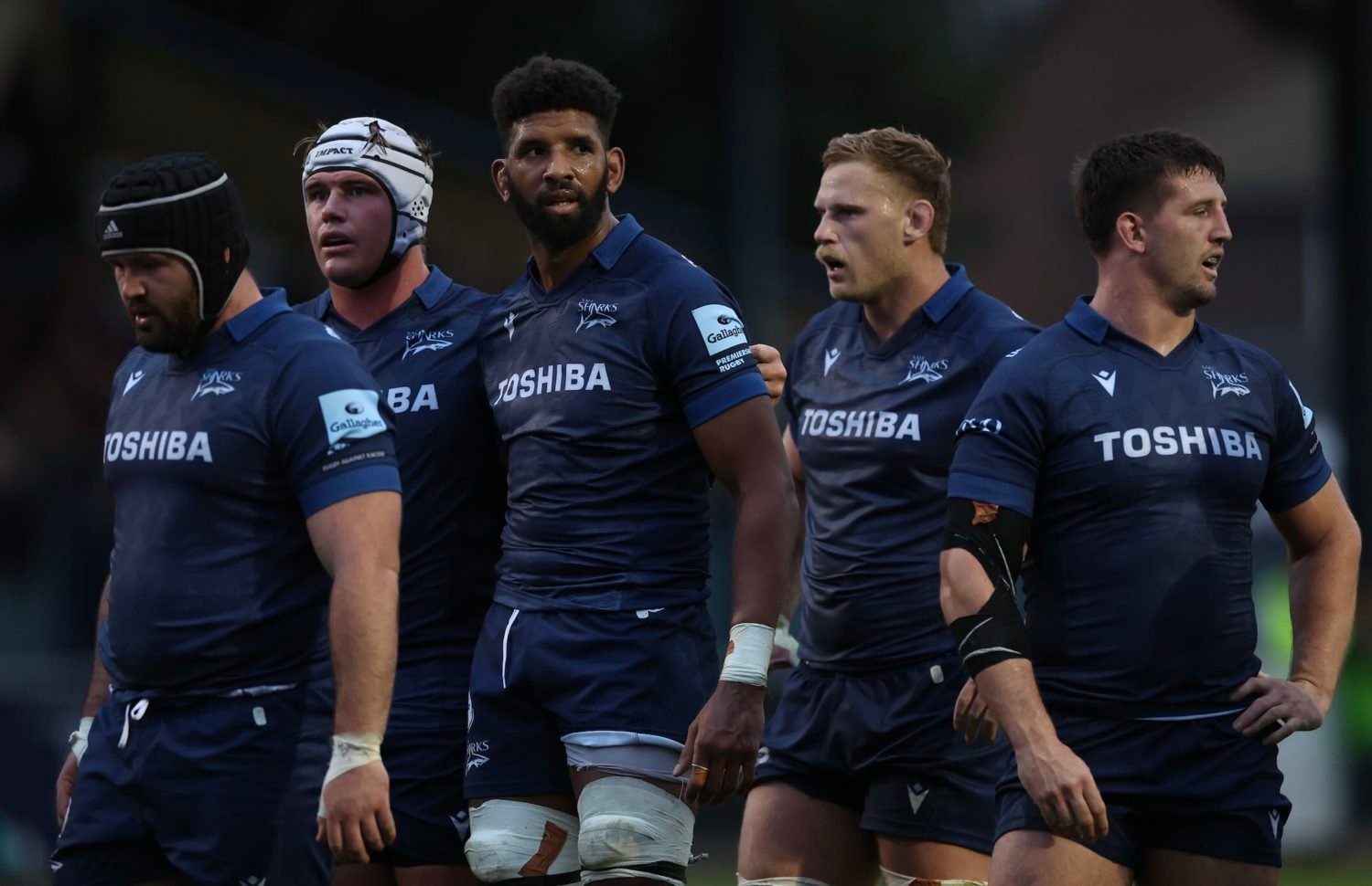 Saffa extends Sale Sharks stay