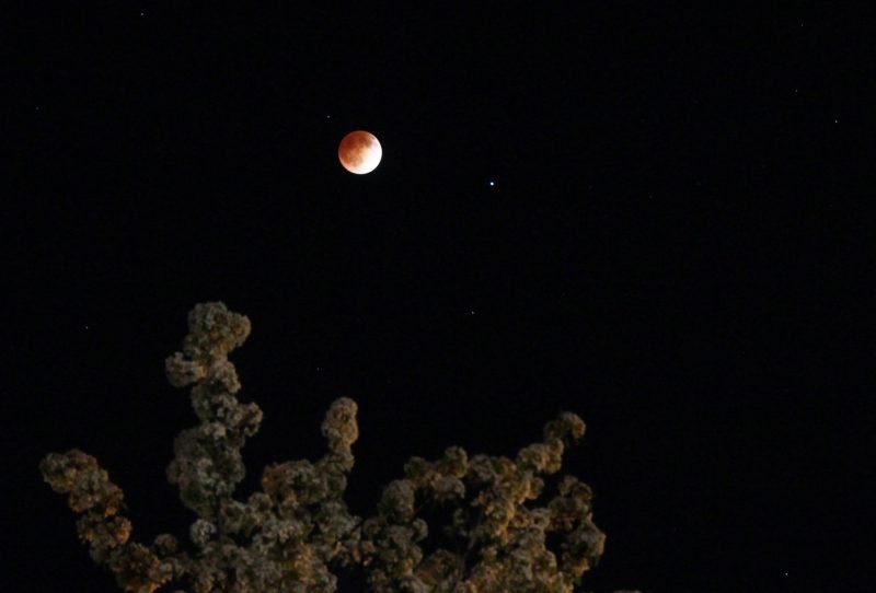 Rare total lunar eclipse set to dazzle SA skies tonight – SABC News