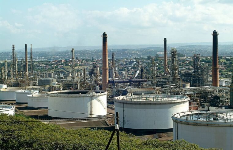 Strategic partnerships crucial for sustainable growth: SANPC CEO – SABC News