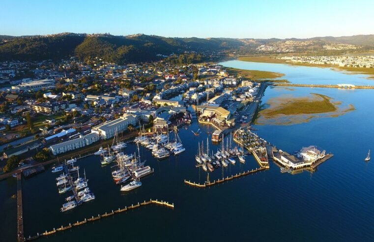 Placing Knysna under administration won’t benefit the town: Mayor – SABC News