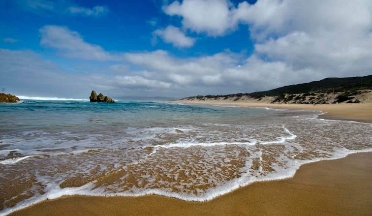 Knysna council weighs response to government’s dissolution proposal – SABC News