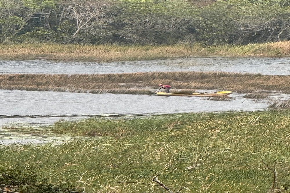 Illegal gillnet fishing poses threat to iSimangaliso’s fragile lakes – SABC News