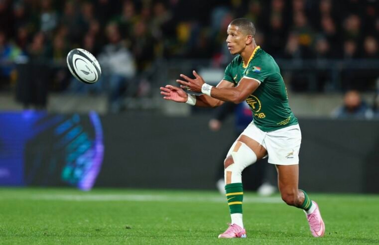Mallett: Manie steered Boks superbly