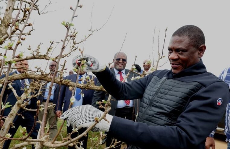 Mashatile urges farmers to negotiate with govt over land reform – SABC News