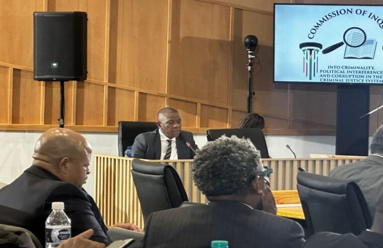 Mkhwanazi concludes giving evidence at Madlanga Commission – SABC News