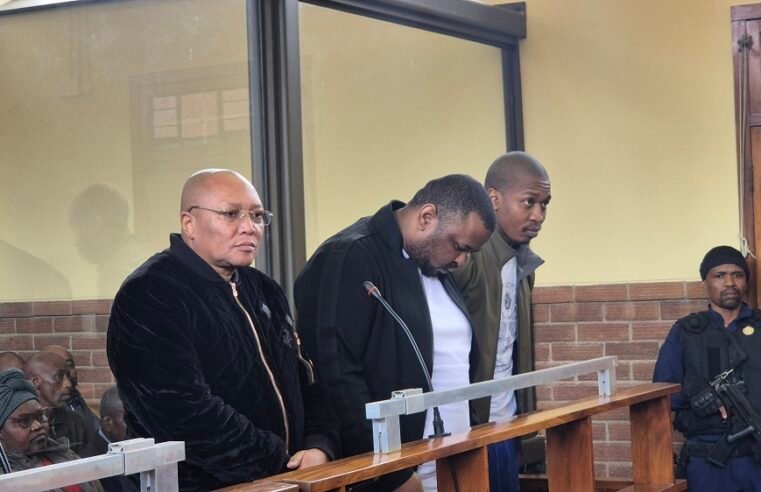 Simphiwe Zuma bail bid sees another postponement – SABC News
