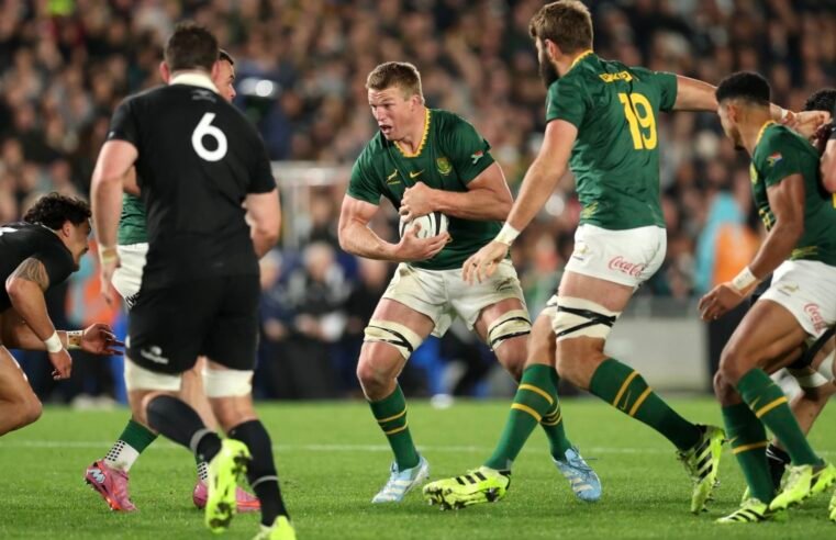 Back-to-basics Boks can bounce back