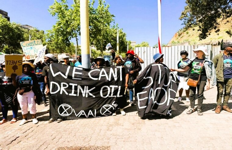 Activists want voices heard at ConCourt over Shell’s Wild Coast plans – SABC News