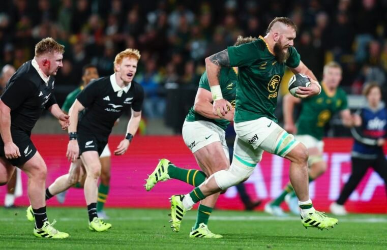 RG should play more for Boks