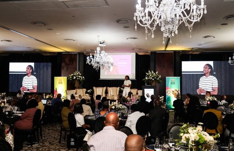 Limpopo schools record breakthrough in reading and maths – SABC News