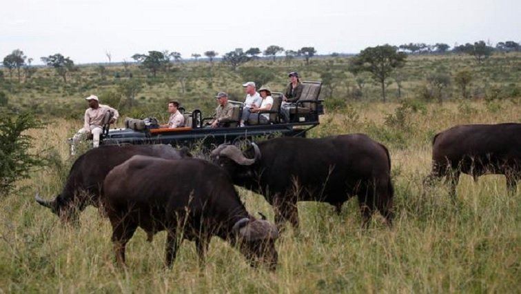 Talks of Kruger National Park name change sparks economic fears – SABC News