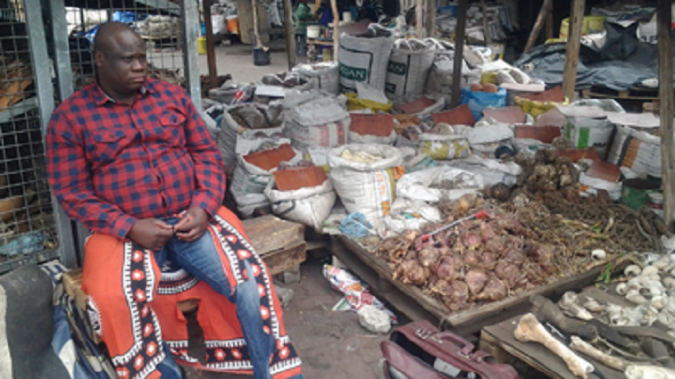 Spring is a reminder of the importance of traditional medicine: NW Dingaka Association – SABC News