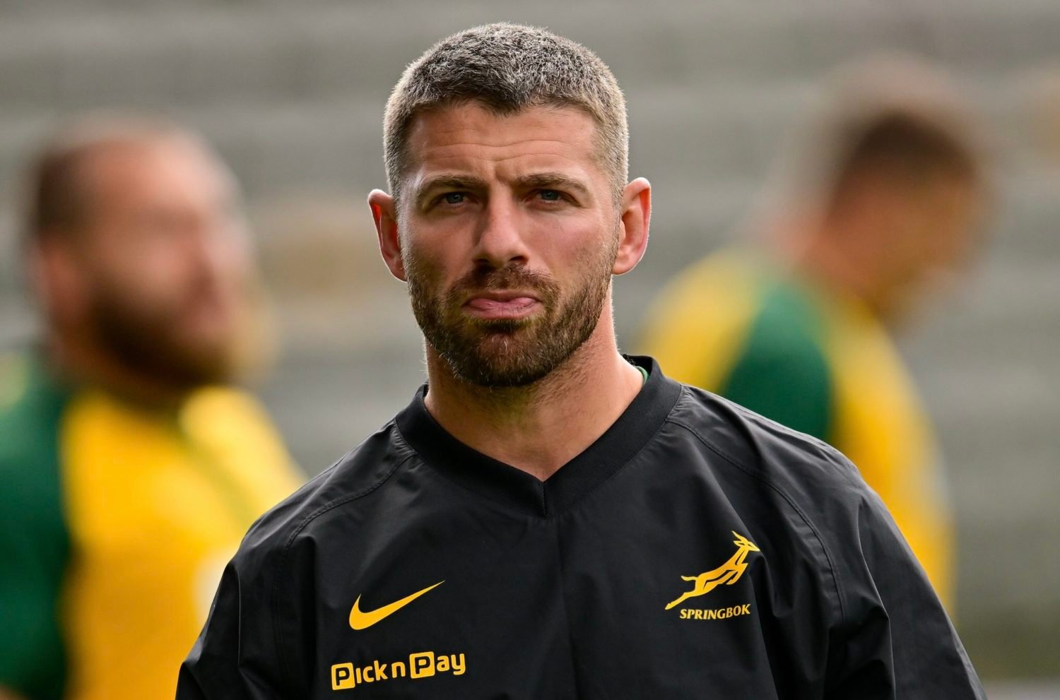 Willie back with Boks