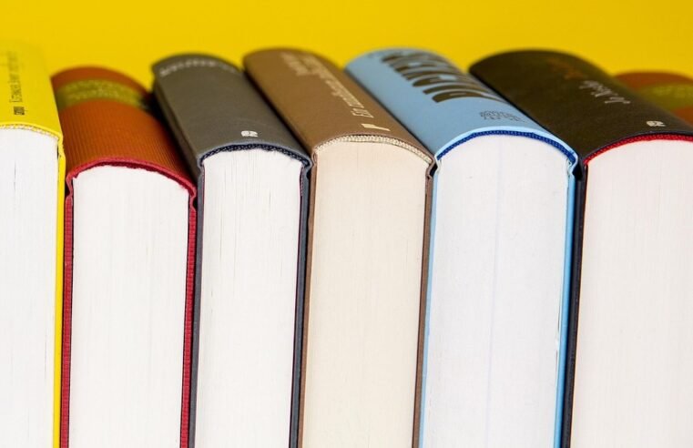 Ingcayizivele Book Fest to promote culture through literature in MP – SABC News