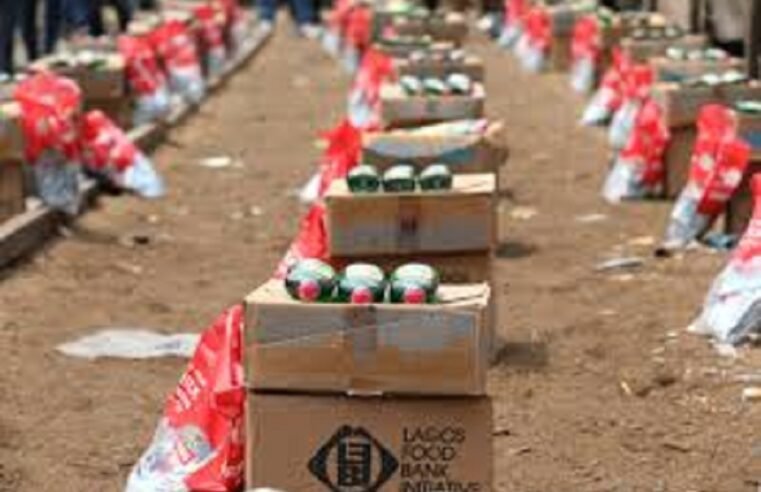 DA Gauteng to table motion to reverse centralised food parcel system – SABC News