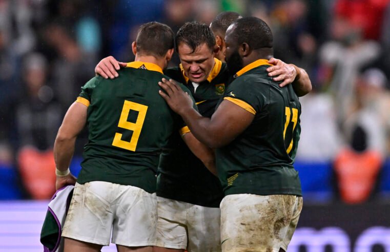 Stormers add Bok to Benetton mix