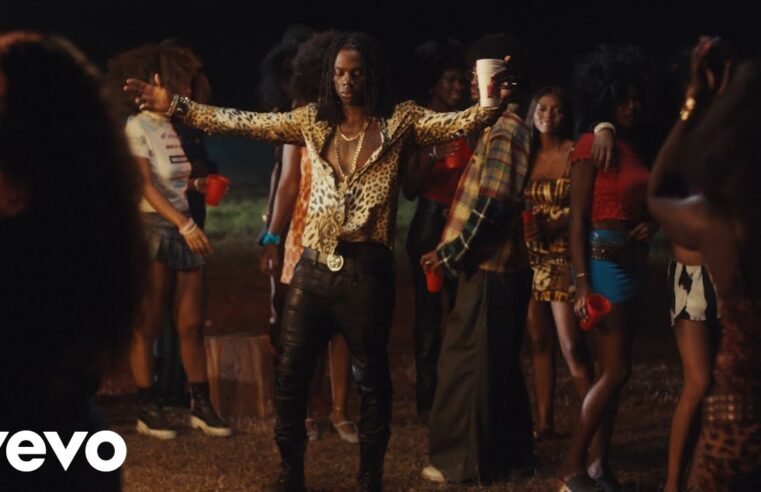 Rema – FUN