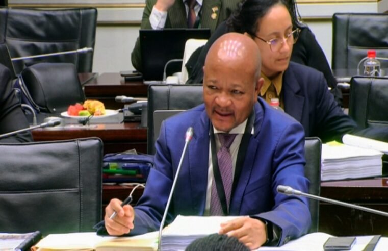 Mchunu to continue testimony before Ad Hoc Committee – SABC News