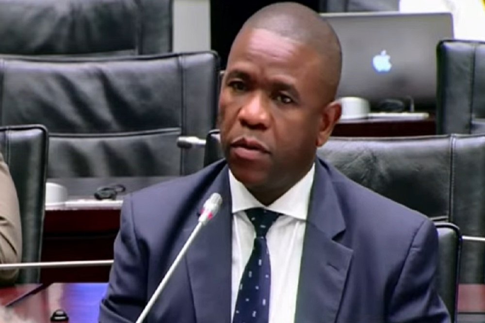 Some Ad Hoc Committee members call for Mkhwanazi to apologise to Cele – SABC News