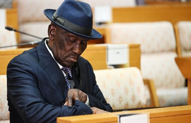 Phiyega’s appointment was an attempt to weaken SAPS: Cele – SABC News