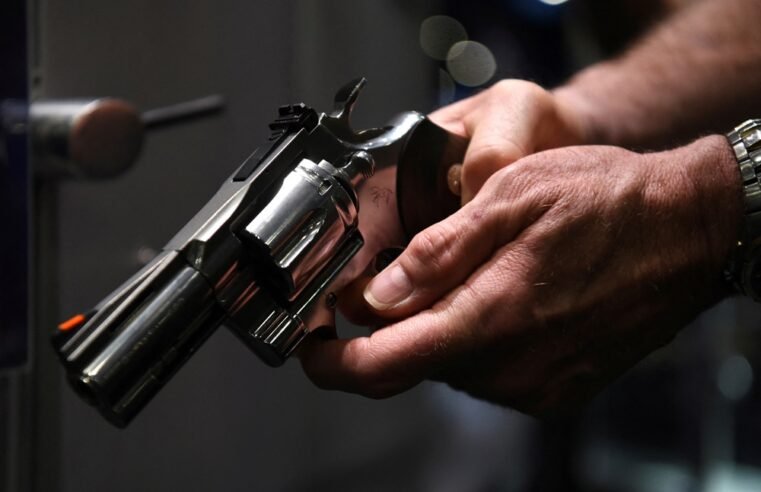 Madlanga Commission hears that gun in Armand Swart’s killing linked to 20 other murders – SABC News