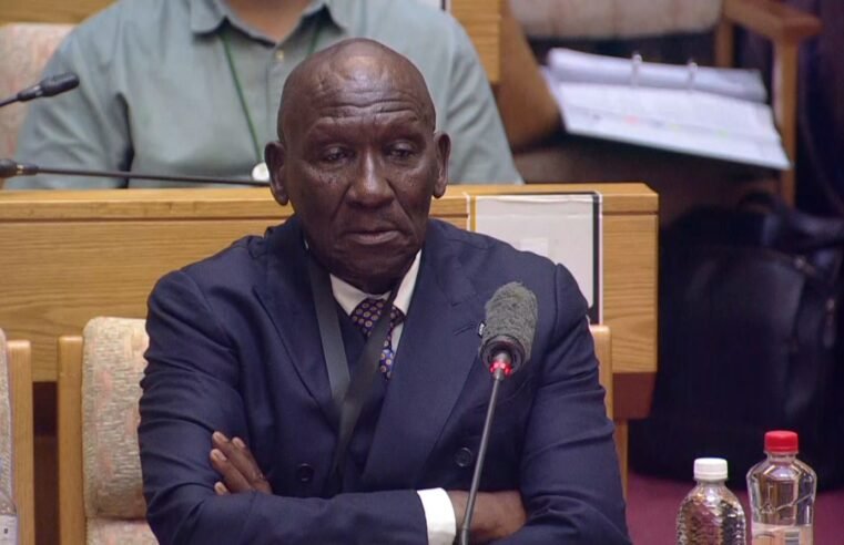Cele questions Phiyega’s appointment, suggests for manipulation – SABC News