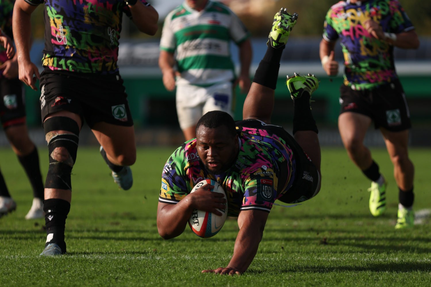 Asenathi backs Lions to roar again