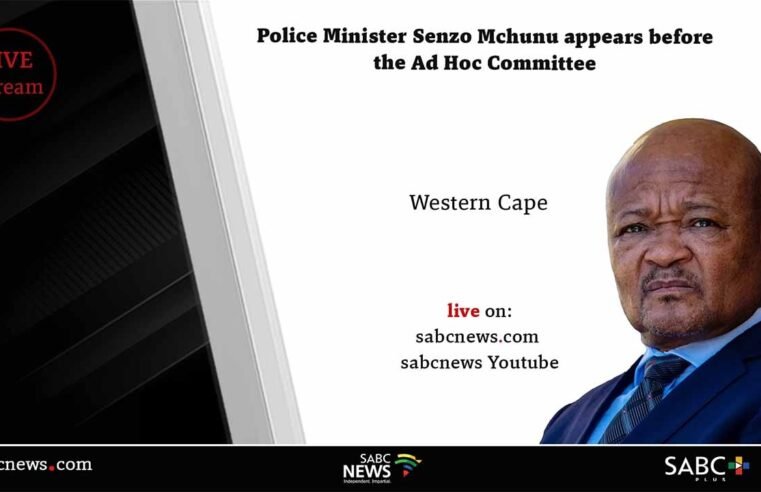 LIVE: Ad hoc Committee | Police Minister Senzo Mchunu