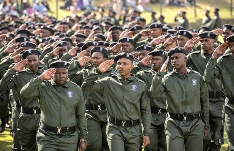 Establishment of Gauteng Crime Wardens ‘Irregular’: Public Protector – SABC News
