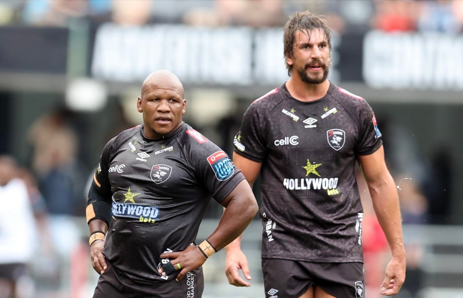 Big guns return for Sharks