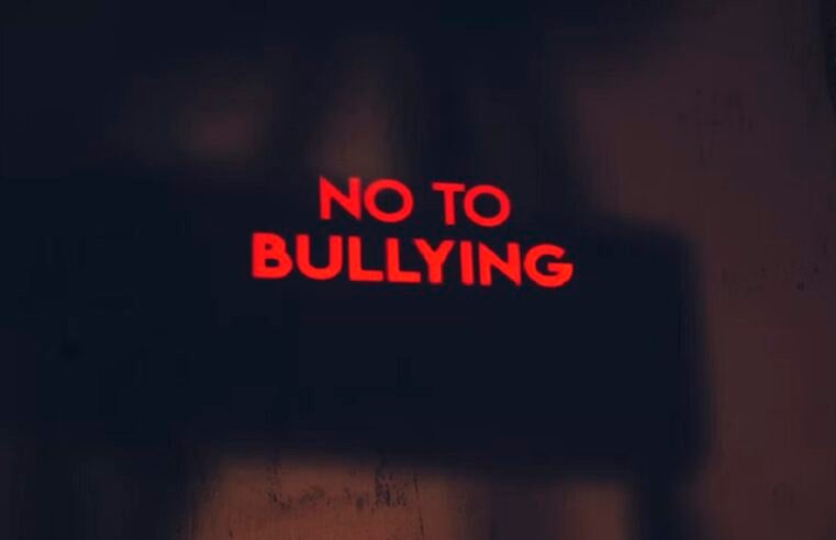 Criminalising learners not an answer to bullying: Equal Education – SABC News
