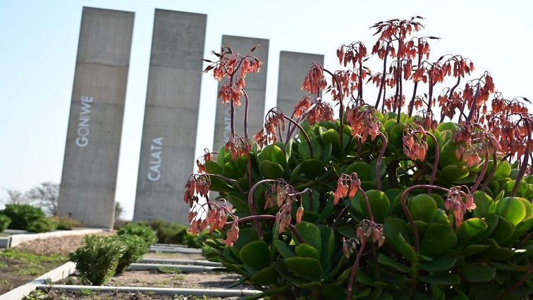 Inquest into deaths of Cradock Four to resume in Gqeberha High Court – SABC News