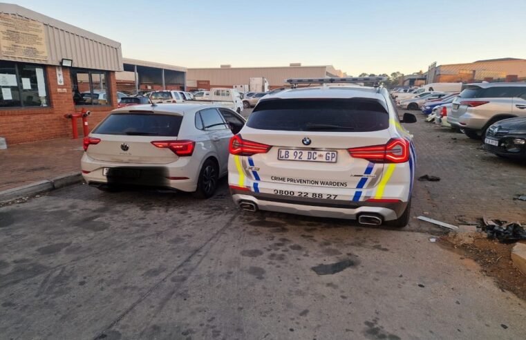 Gauteng crime wardens programme should have never existed: EFF – SABC News