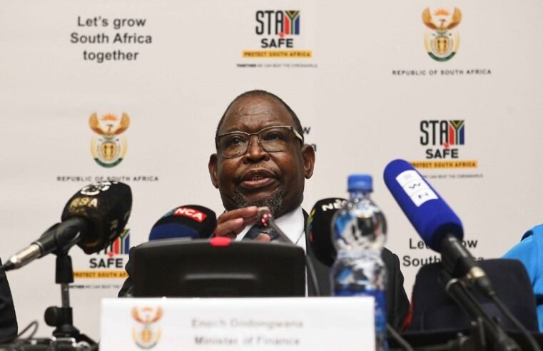 Enoch Godongwana appointed Acting President for a week – SABC News
