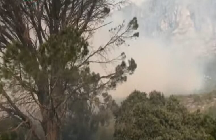 Cape Town firefighters manage to contain Deer Park blaze – SABC News