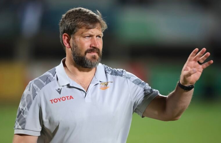 Cheetahs need to start winning