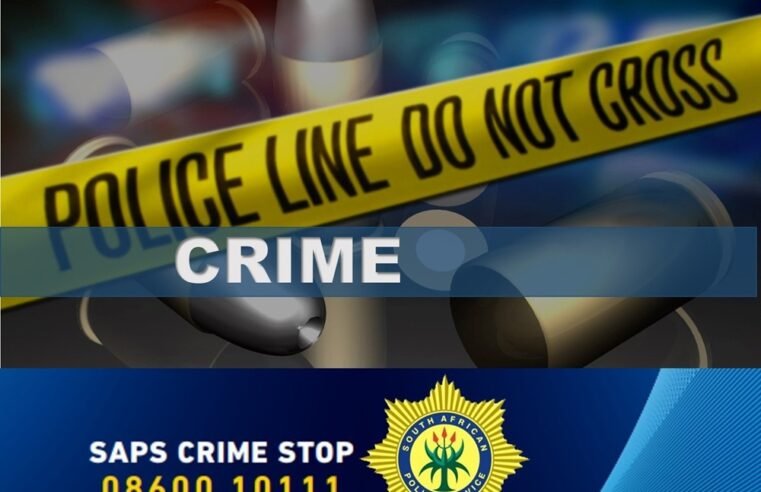 Government lacks political will to fight gang violence: ActionSA – SABC News