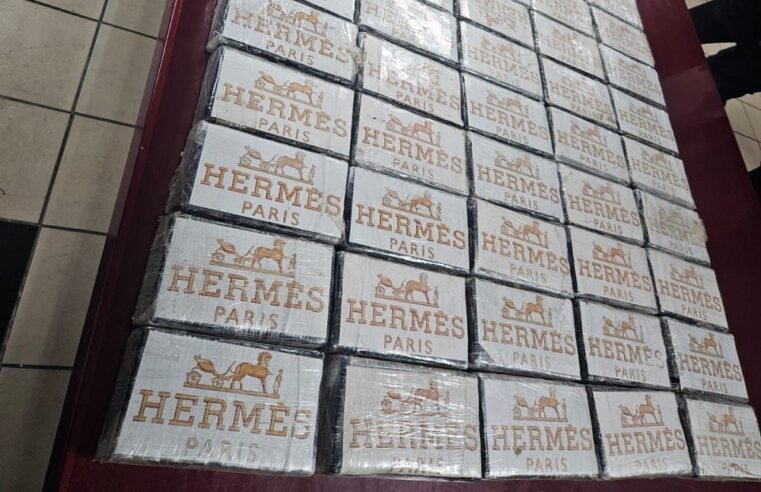 Concern as police uncover drug consignments on private plots – SABC News