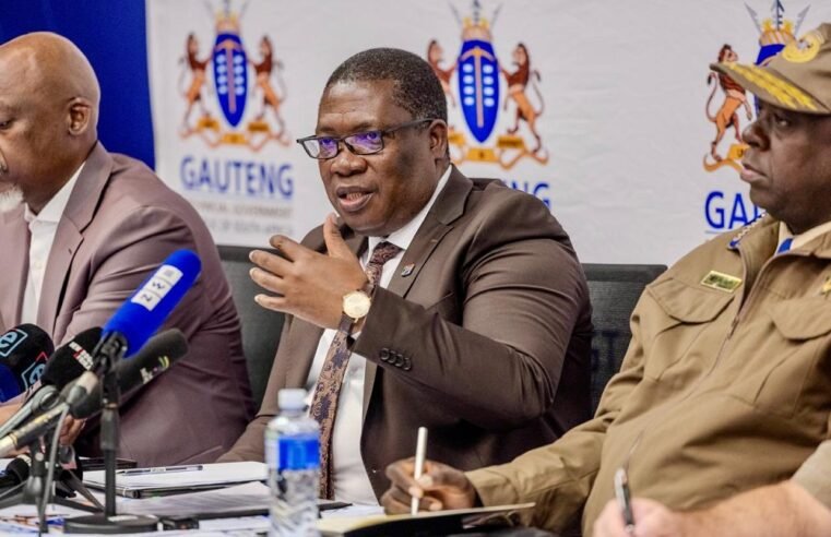 ‘Traffic wardens in Gauteng to be trained, granted police powers’ – SABC News