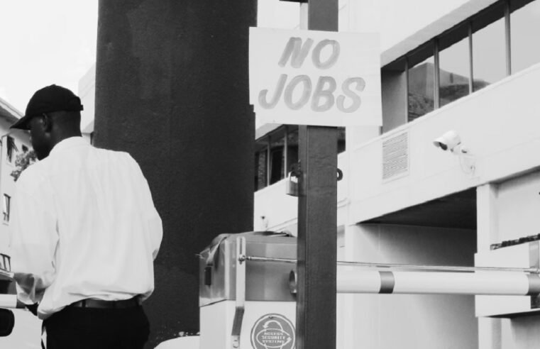 NYDA launches R2.5 billion fund to tackle unemployment – SABC News