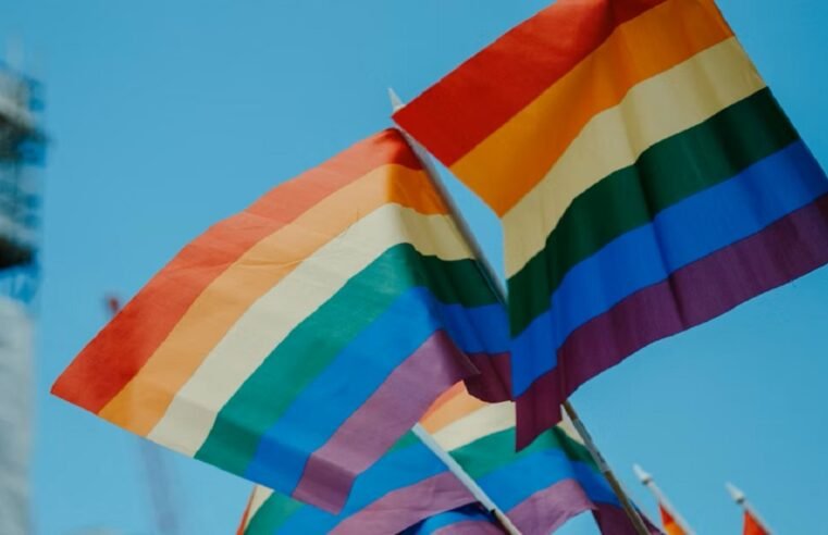 Ngizwe Mchunu ordered to retract comments about LGBTQI+ community – SABC News