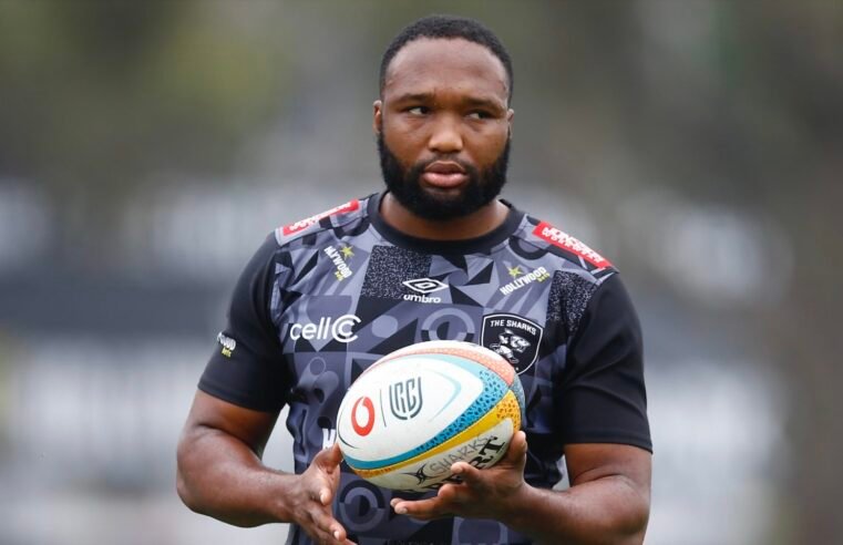 I know what it takes to be a Bok again