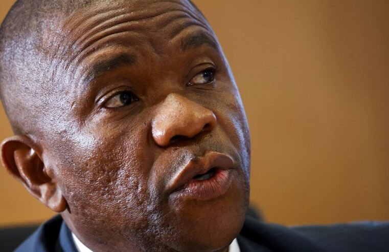 Mchunu had an unethical relationship with Brown Mogotsi: Mkhwanazi – SABC News