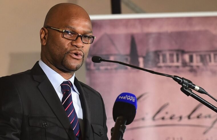 SAPS to send delegation to France to probe Mthethwa’s death – SABC News